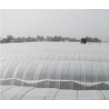 2020 high quality cheap plastic cover multi-span agricultural greenhouse plastic film